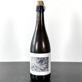 ݥѥ x å ܥ졼2023 / Popihn x Cyclic Sauvages Collaboration CYCLIC 2023
