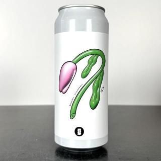 ȡȥԥ ȥեӥ (ܤ඲ݾ)  / Totopia Wiltphobia