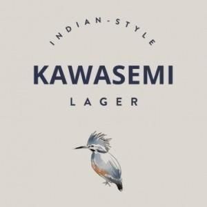 ゴッドスピード カワセミ /