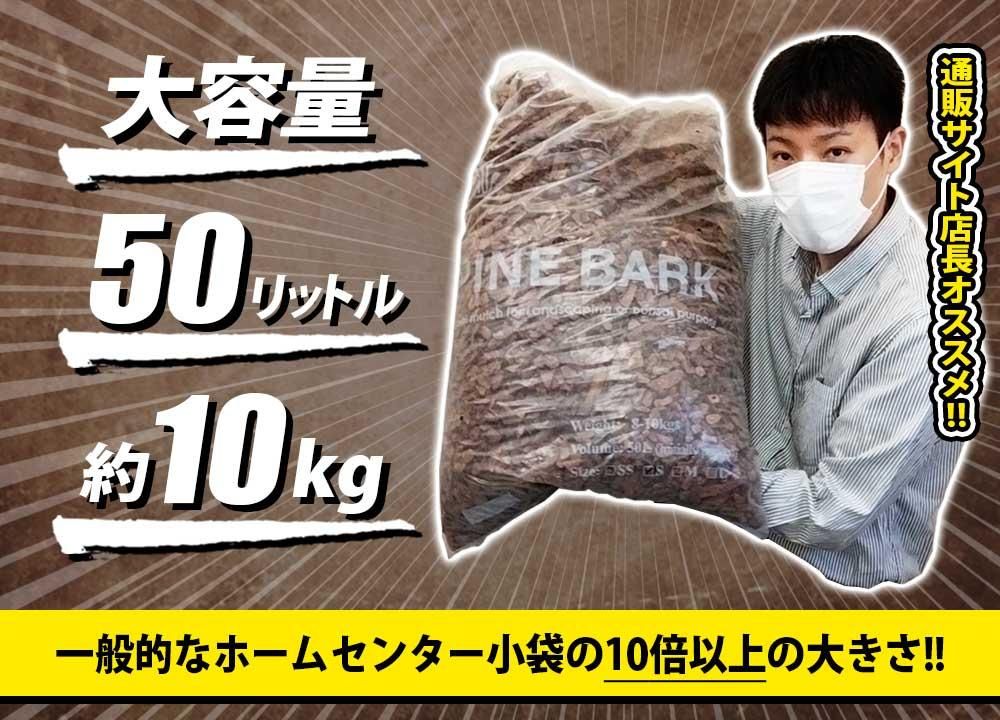 バークチップ手持ちのサイズ感