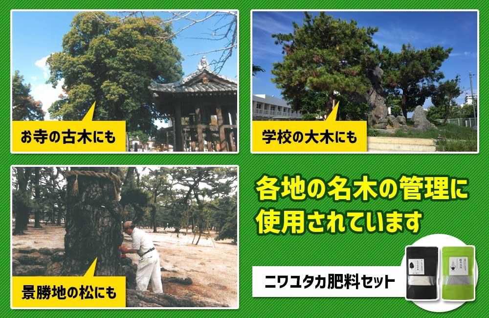 Ϥ̾ڤˤ˥楿ѤƤޤ