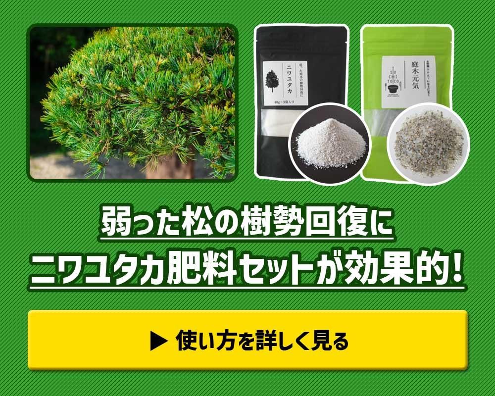 äμ˥˥楿åȤŪ