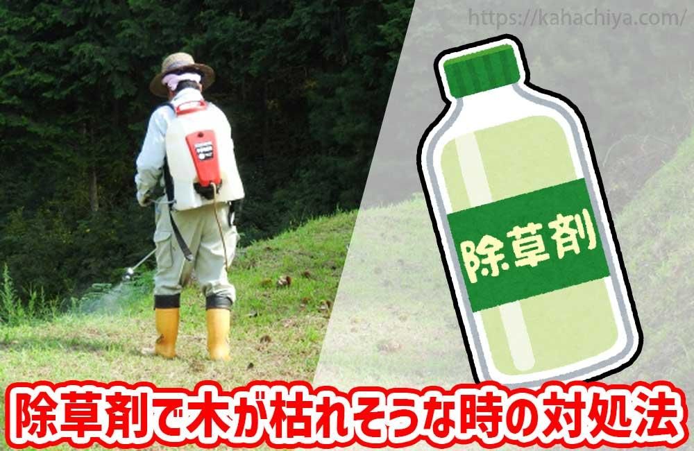 ޤڤϤ줽ʻнˡ