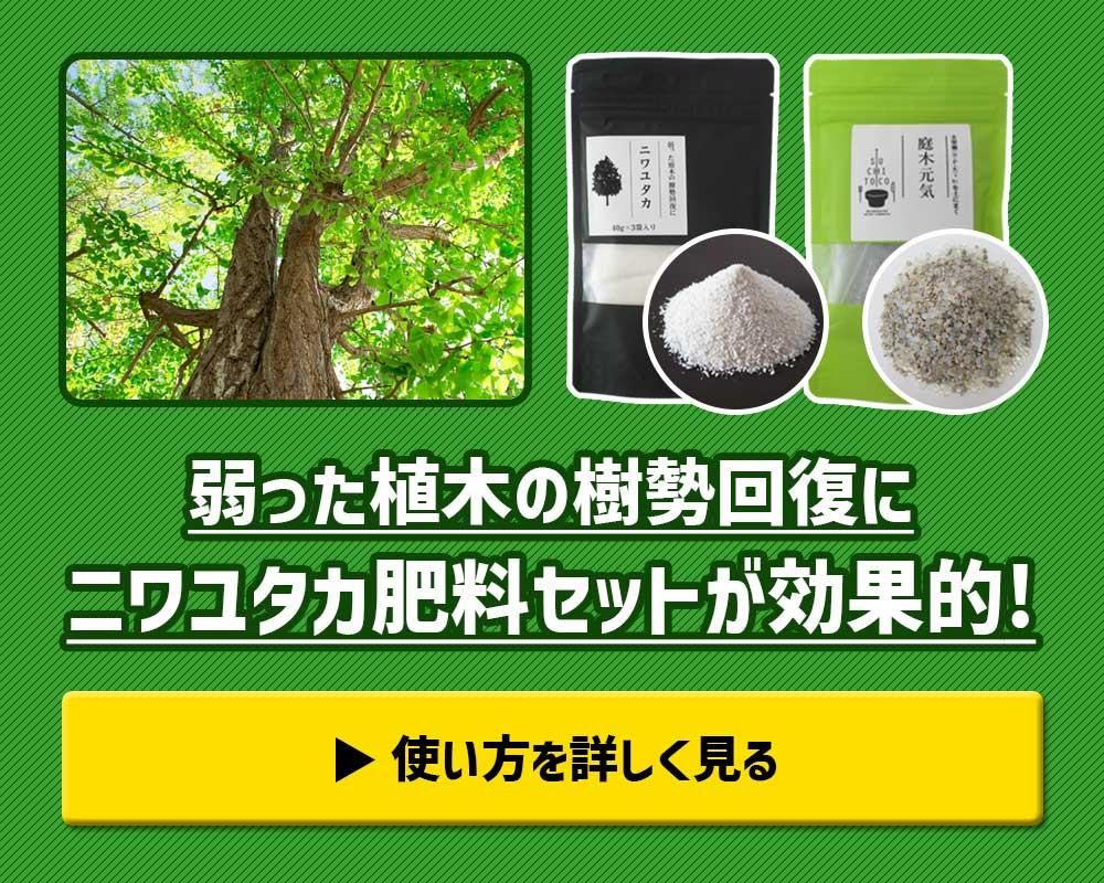 弱った植木の回復にニワユタカ肥料セットが効果的