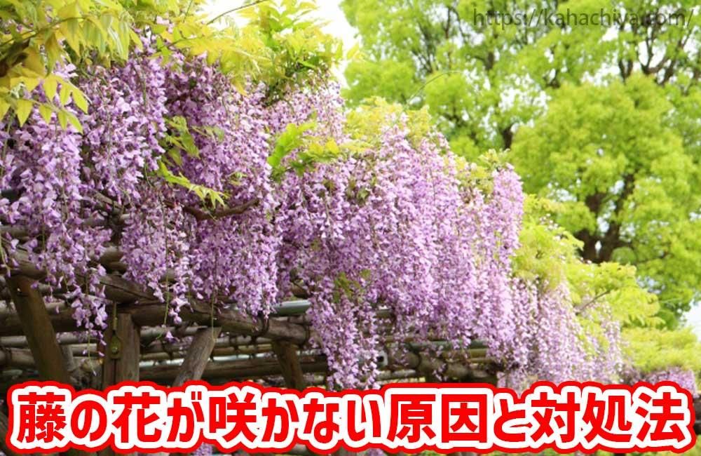 ƣβ֤餫ʤнˡ