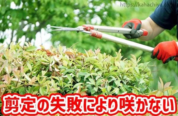 μԤˤ֤餫ʤ