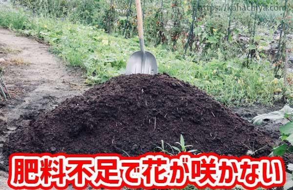 ­ǲ֤餫ʤ