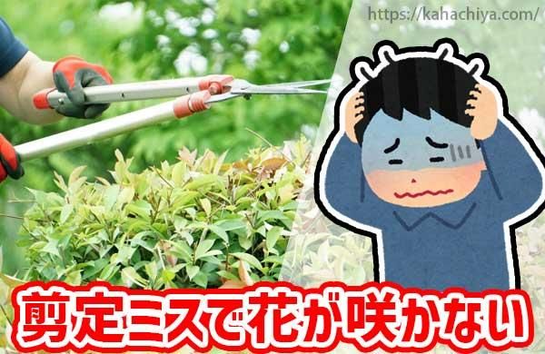 ߥǲ֤餫ʤ