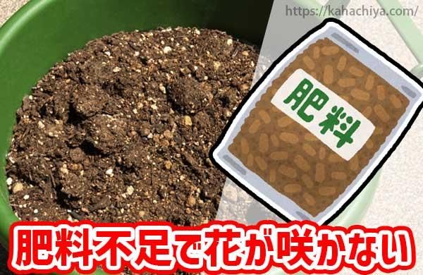 ­Ǻ餫ʤ