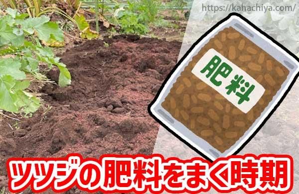 ツツジの肥料をまく時期