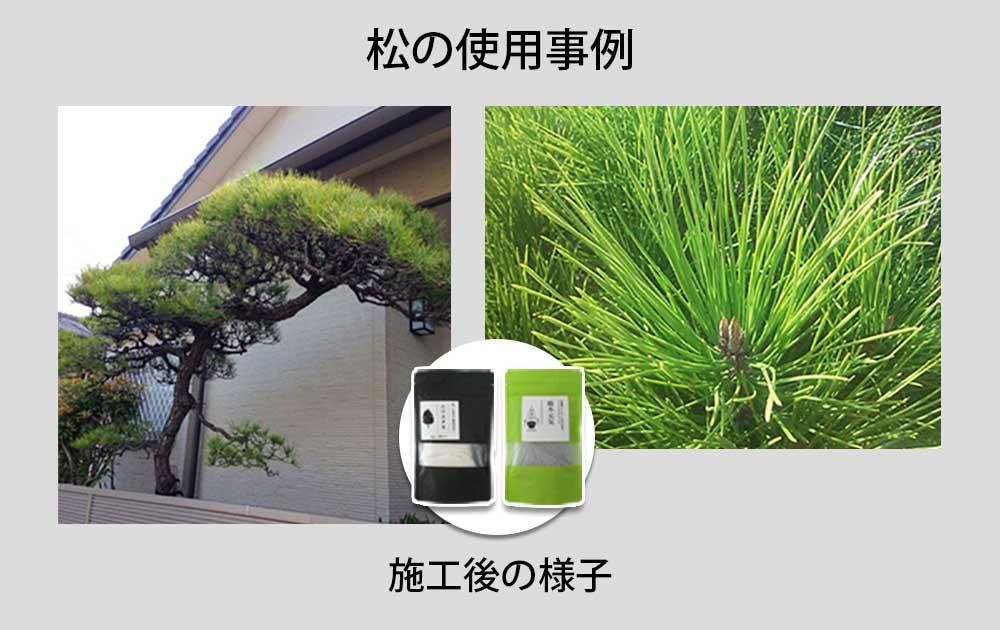 ˥楿ξؤλѻ