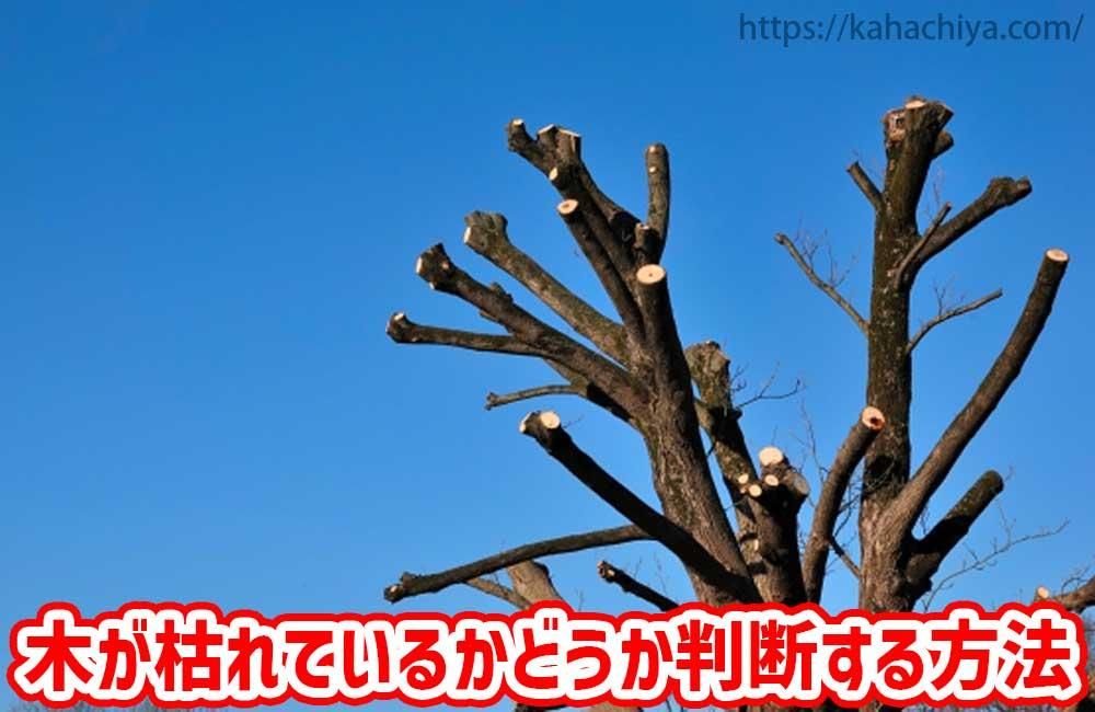 ڤϤƤ뤫ɤȽǤˡ