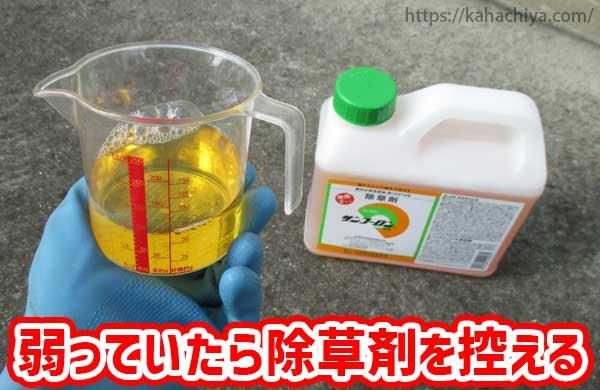 木が弱っていたら除草剤を控える