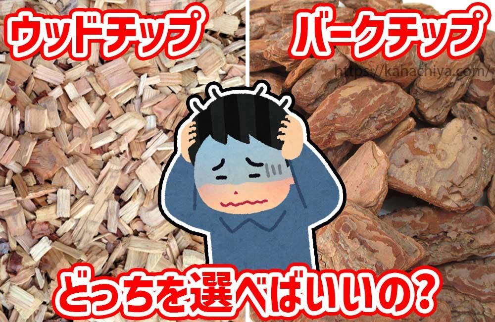 åɥåפȥСåפɤä٤ФΡ