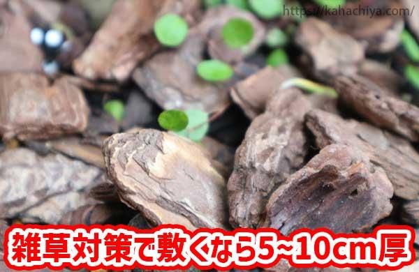кǥåפߤʤ510cmθˤʤ褦