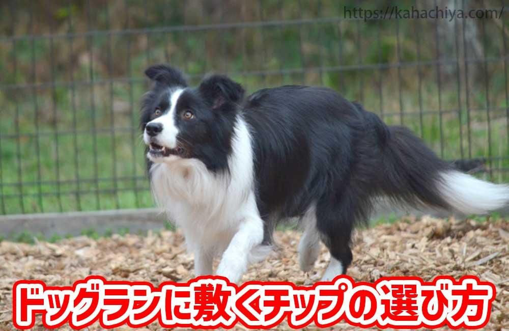 ドッグランに敷くチップの選び方