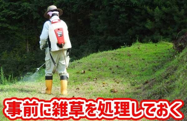 雑草処理をしておく