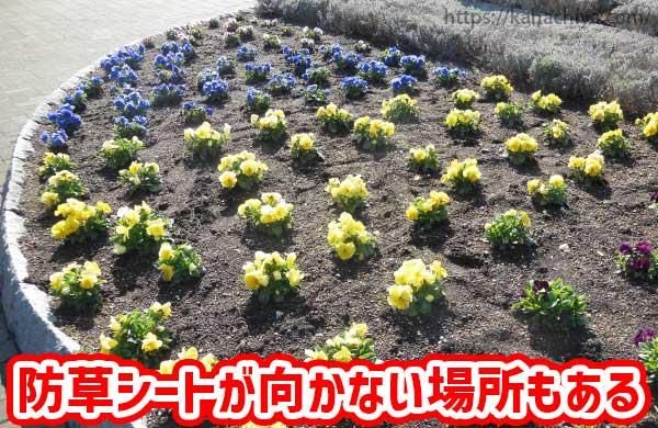 𥷡Ȥʤ⤢