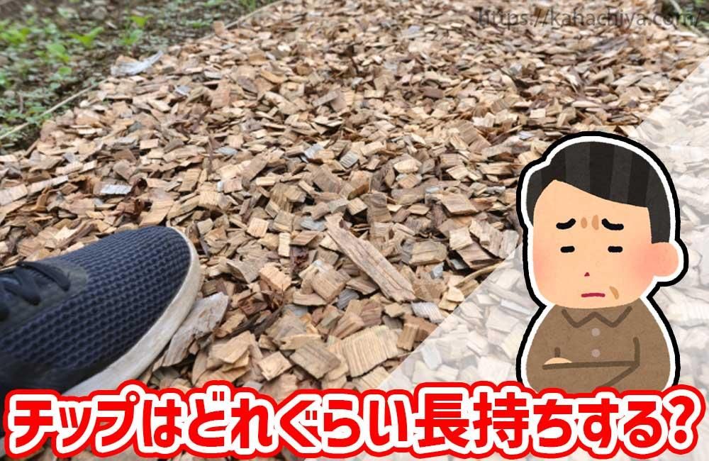 СåפϤɤ줰餤Ĺ롩
