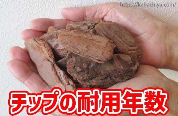 Сåפǯ