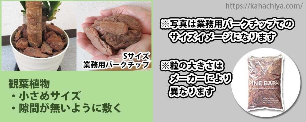 տʪǻȤСåפγˤĤ