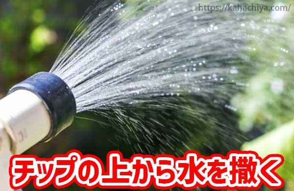 チップの上から水を撒く