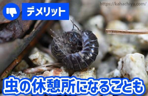 虫の休憩所になることも