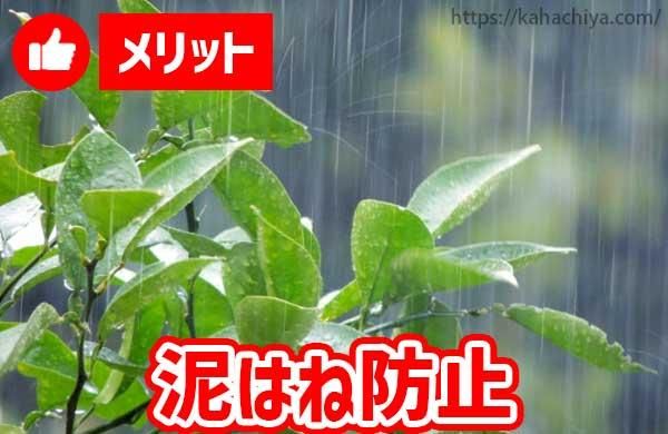 泥はね防止