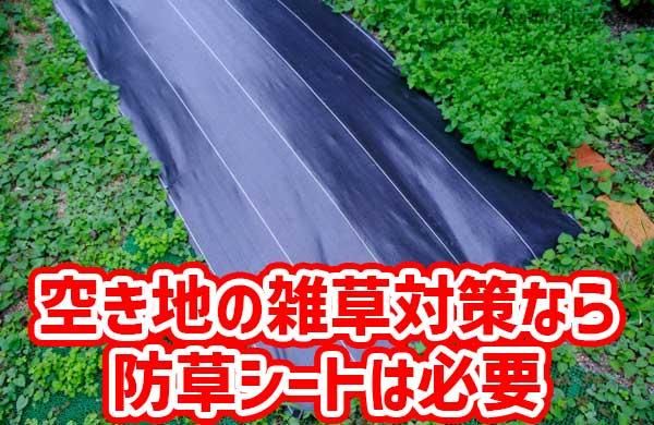 空き地の雑草管理なら防草シートは必要