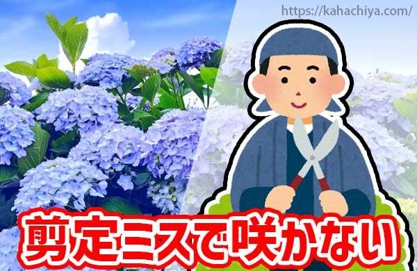 ߥǥβ֤餫ʤ