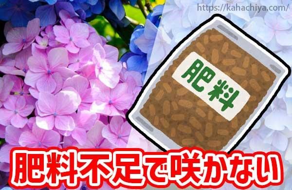 ­ǥβ֤餫ʤ