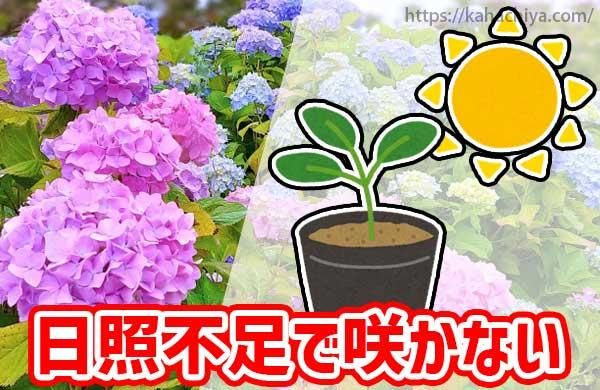 ­ǥβ֤餫ʤ