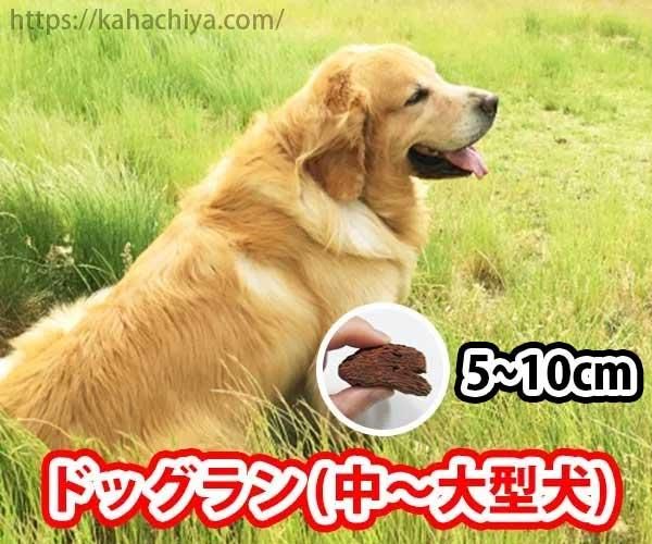 ドッグラン(中〜大型犬)に敷くチップの厚さ
