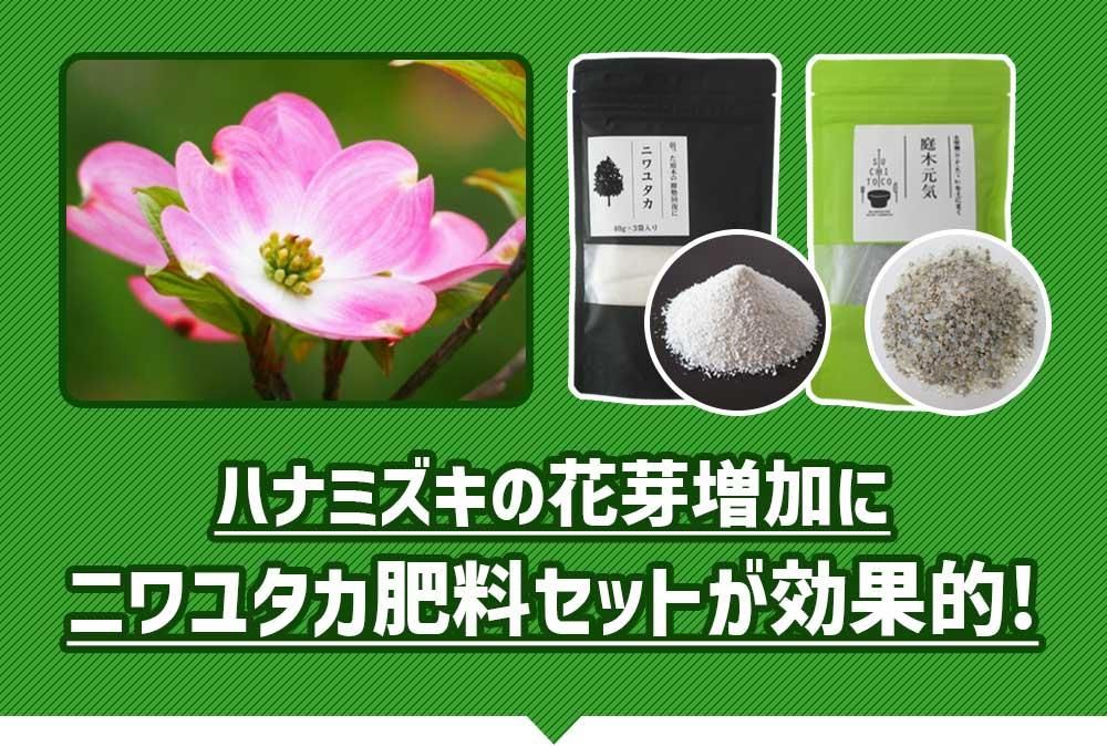 ϥʥߥβֲä˥˥楿åȤŪǤ