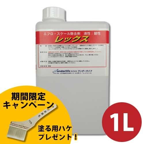 kaminorinori EFFLORESCENCE エフロレッセンス kaminorinori EFFLORESCENCE エフロレッセンス EFFLORESCENCE