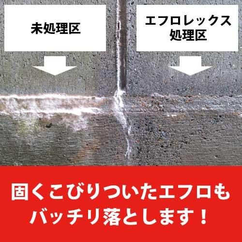 エフロレックス 1L 最安販売【エフロ（白華）専用除去剤】