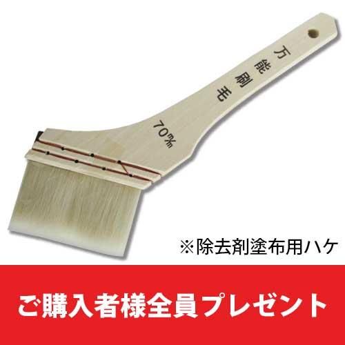 エフロレッセンス 値下げ エフロレックス 1L 最安販売【エフロ（白華）専用除去剤】