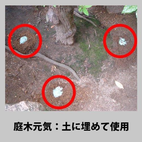 植木肥料 庭木元気 400g 植木肥料 庭木元気 400g