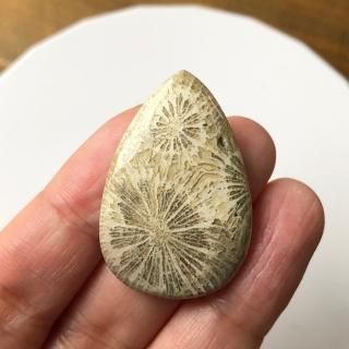 եå륳 36.5x24.5x5mm  603J'