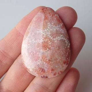 <img class='new_mark_img1' src='https://img.shop-pro.jp/img/new/icons11.gif' style='border:none;display:inline;margin:0px;padding:0px;width:auto;' /> եå륳롡50x35x9mm 610A