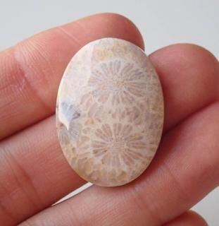 <img class='new_mark_img1' src='https://img.shop-pro.jp/img/new/icons11.gif' style='border:none;display:inline;margin:0px;padding:0px;width:auto;' />եå륳롡31x22.5x6mm 610C