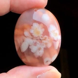 (ꤢ) ꡼֥åॢ 35x27x10mm 812-1