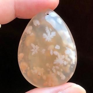 (ꤢ) ꡼֥åॢ 39x29x10.5mm 812-3