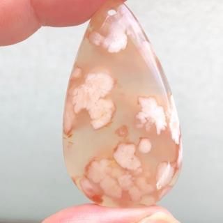 (ꤢ) ξ̥ܥ  ꡼֥åॢ 47x26x8mm 812-10