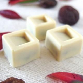 オーガニックホワイトチョコ100%使用ミニチョコ<アプリコット>(4個入り)