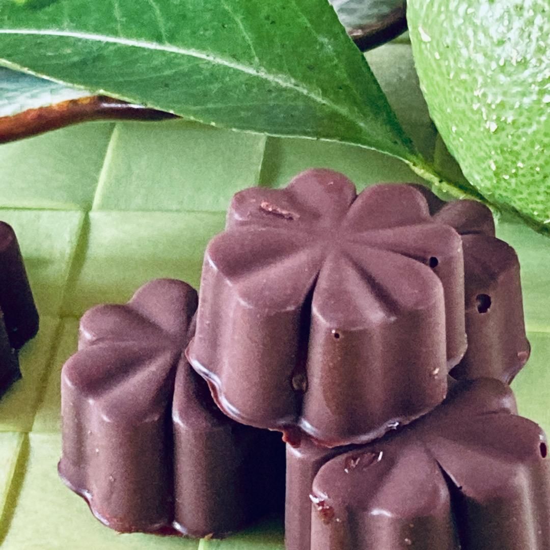 お歳暮 クリスマスギフトにも 白砂糖不使用オーガニックビターチョコ詰合わせ 8個 イタリアン自然食品の店 クッチーナ リナルド お歳暮 クリスマスギフトにも 白砂糖不使用オーガニックビターチョコ詰合わせ 8個 イタリアン自然食品の店 クッチーナ リナルド