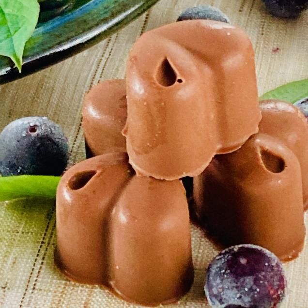オーガニックチョコ100%使用ミニミルクチョコ<綾ブルーベリー>(4個入り)白砂糖不使用♪