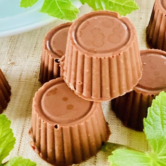 オーガニックチョコ100%使用ミニミルクチョコ<綾イチジク>(4個入り)白砂糖不使用♪