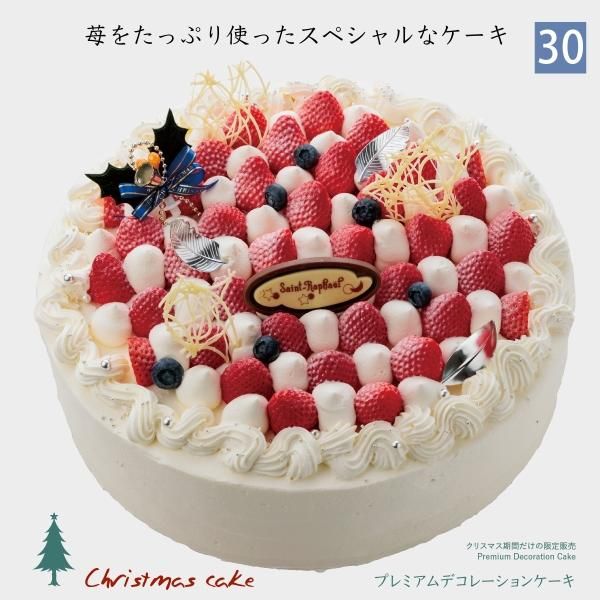 󡦥ե졼ڥꥹޥۡpre-4