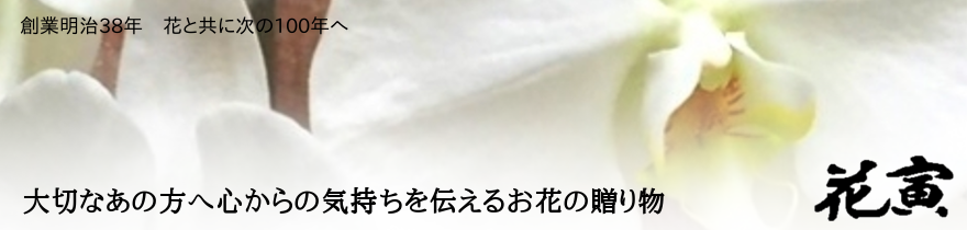 WEBSHOP